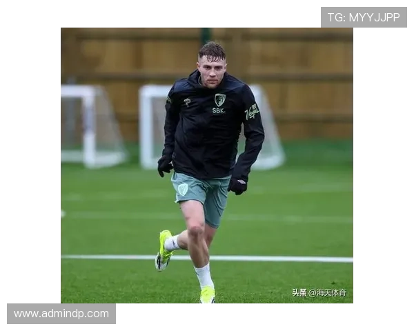 布莱顿1-1埃弗顿格罗斯贝托