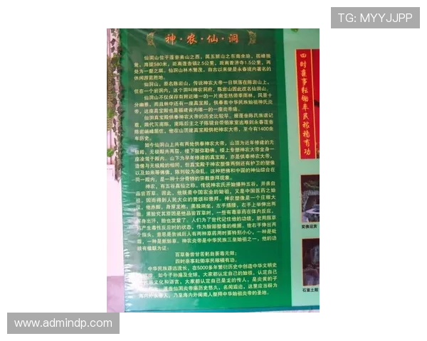 伊镇斥资八千万欧元签阿克蓬